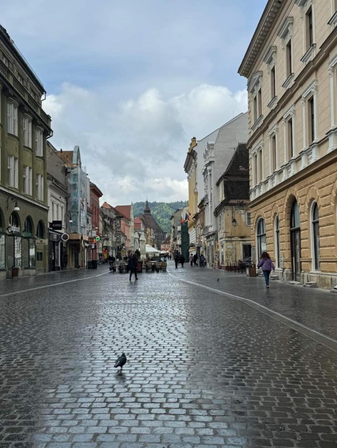 Apartament Regim Hotelier Elis Brasov Luaran gambar
